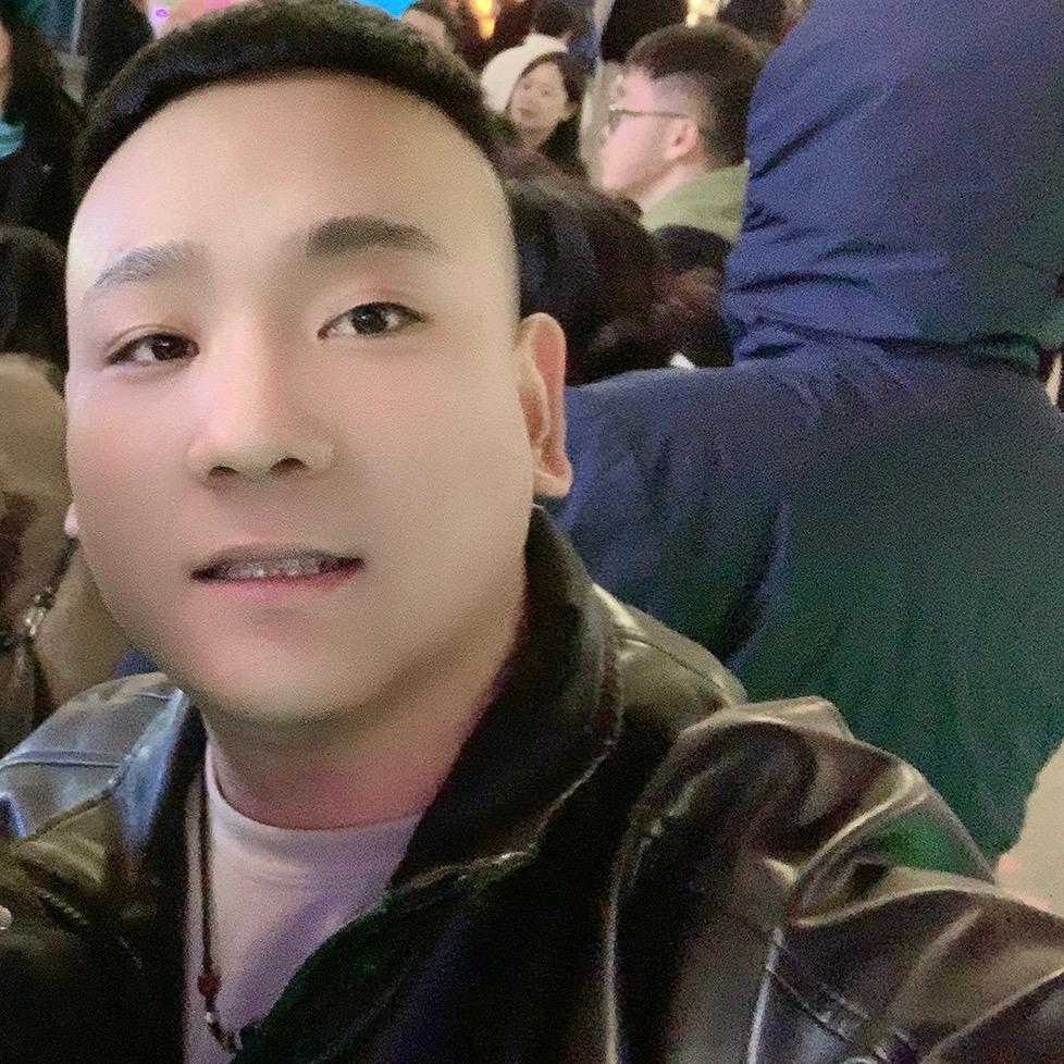 霸王龙✨