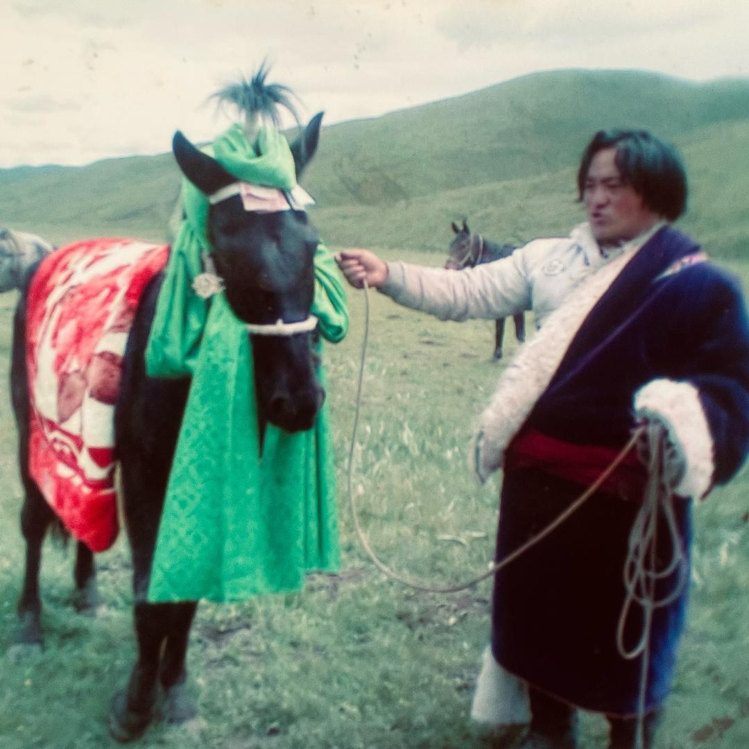 诺尔蒙.秦德慕尼