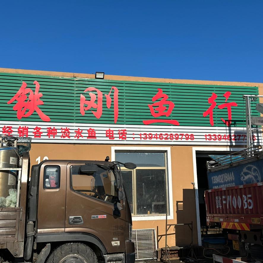 铁刚鱼行
