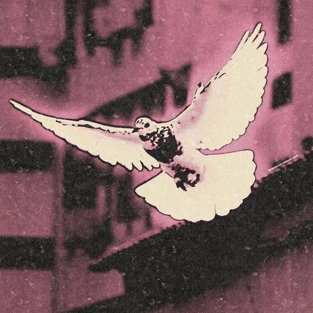 海电