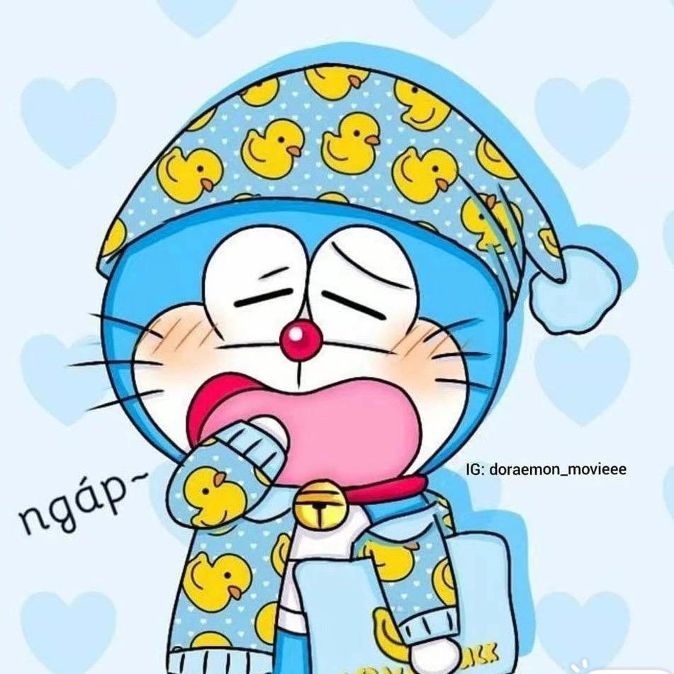 叮当小猫