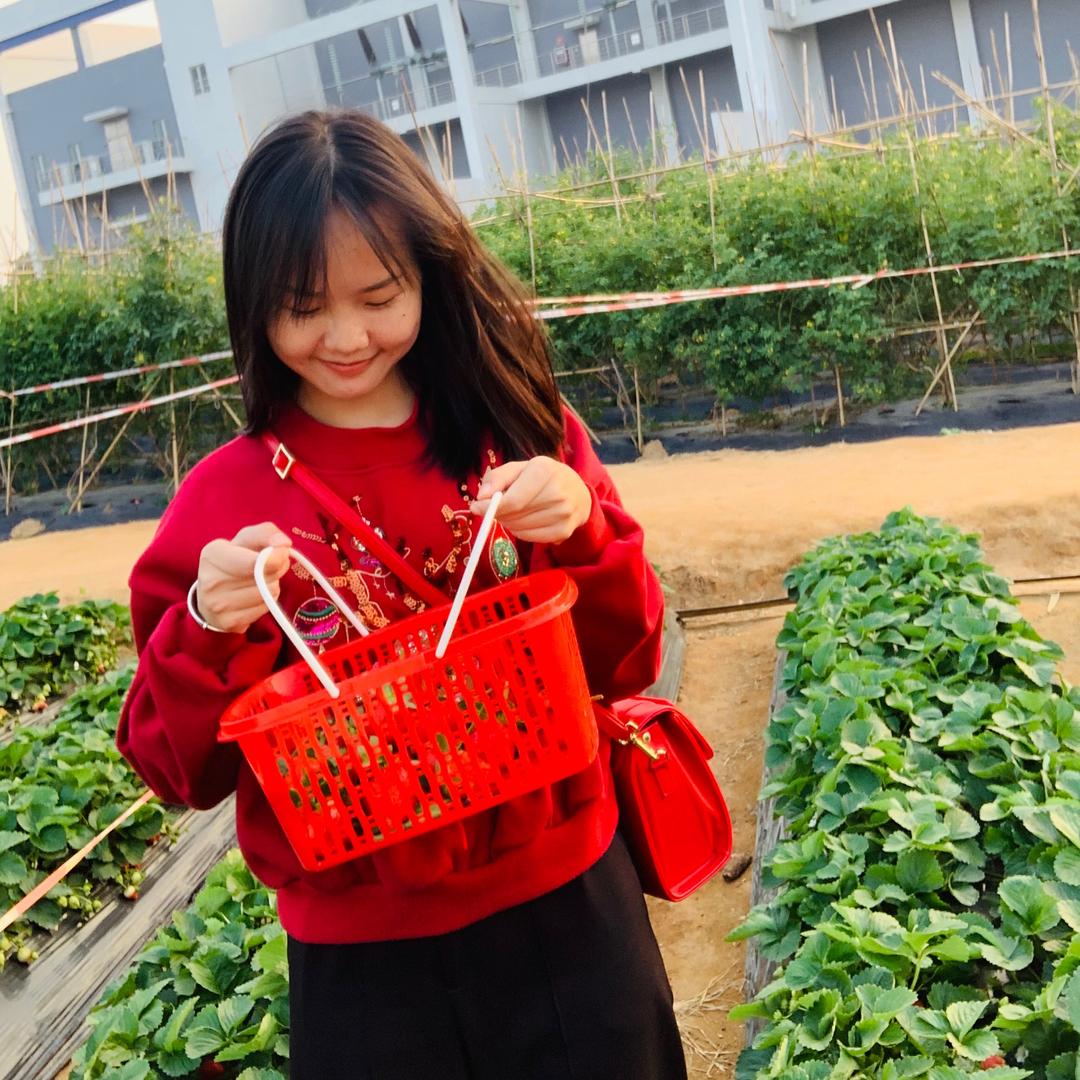 泪点笑点奇低小肉丸🌸