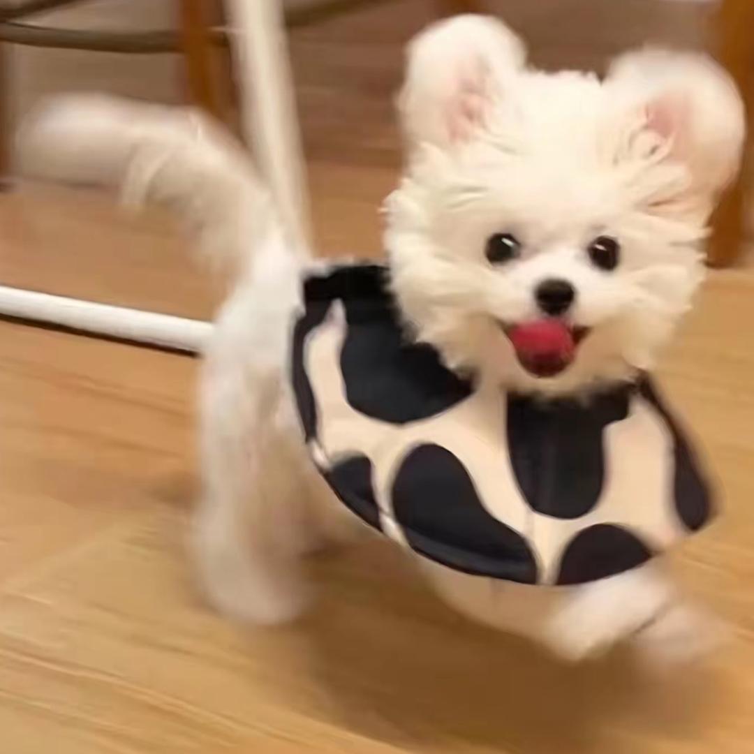 不吃永远吃不饱