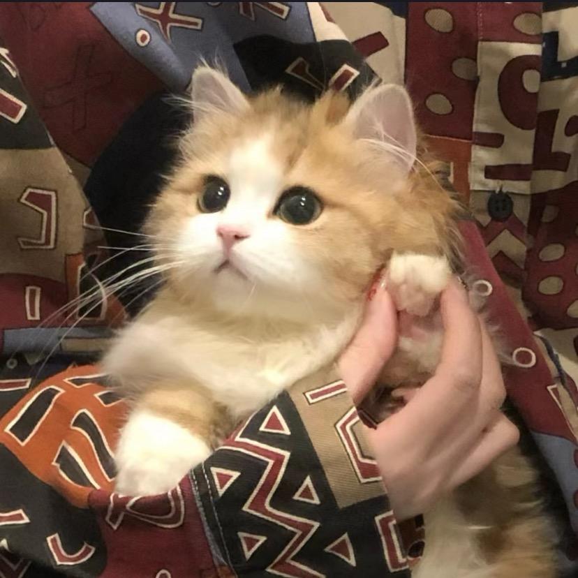 辞久