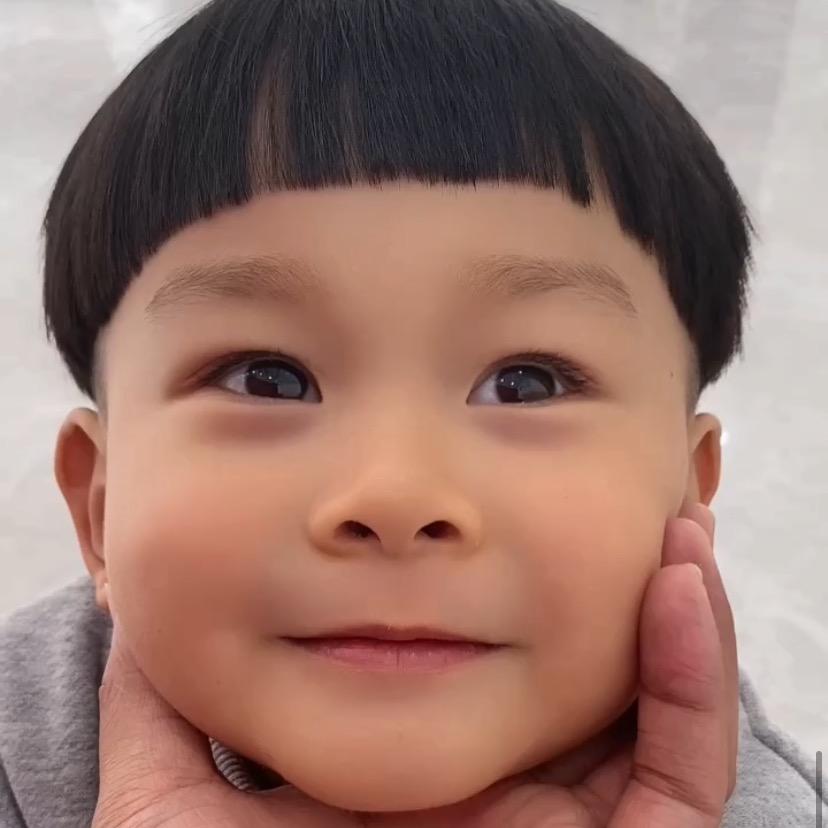 布丁成长记