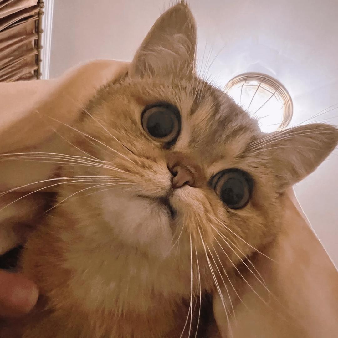 可可✨