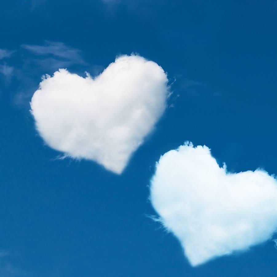 卖牛羊草料震哥