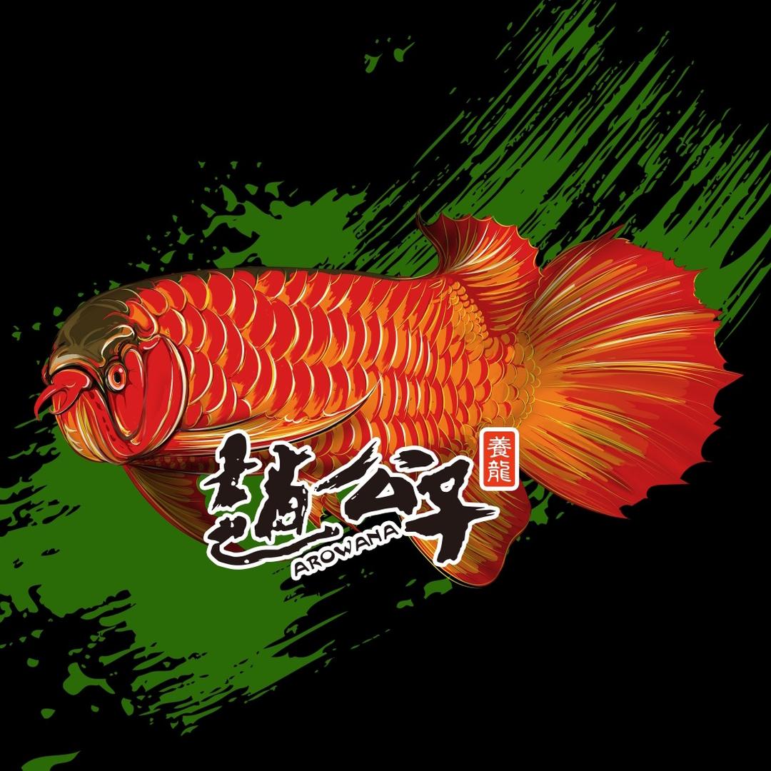 赵公子养龙
