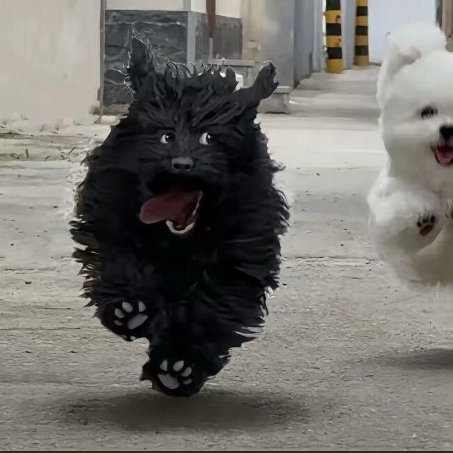 喜欢Af