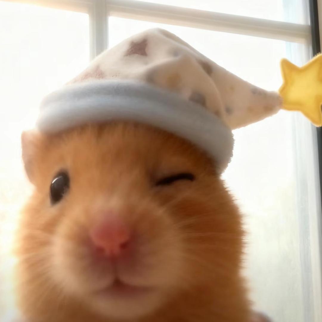 JJJZ。