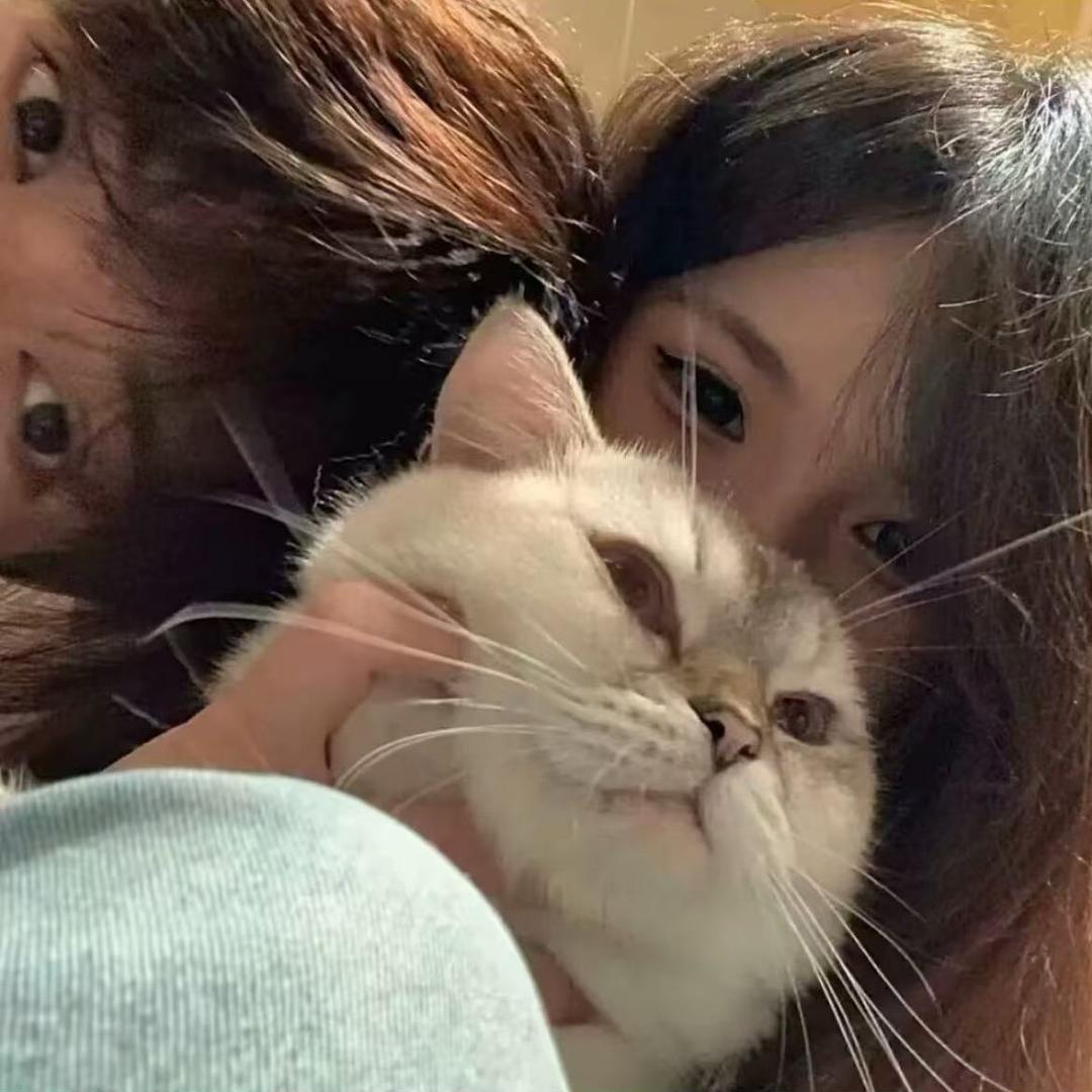 陈不沉-