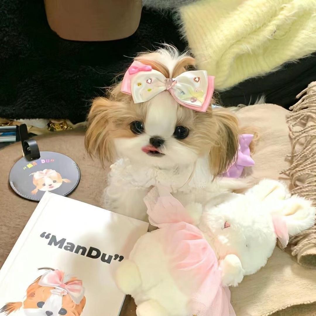 小怡ovo