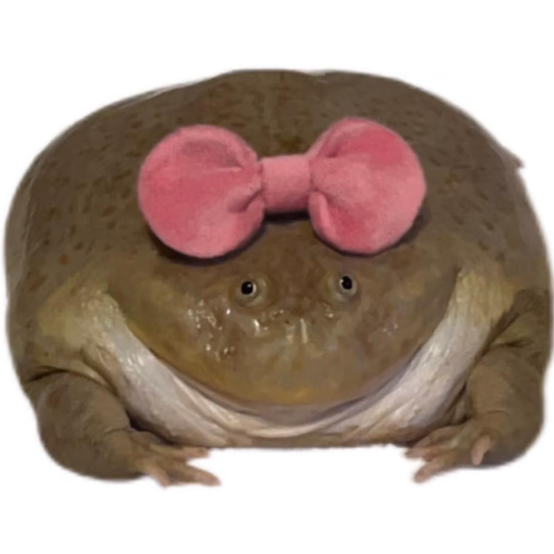 lulu.