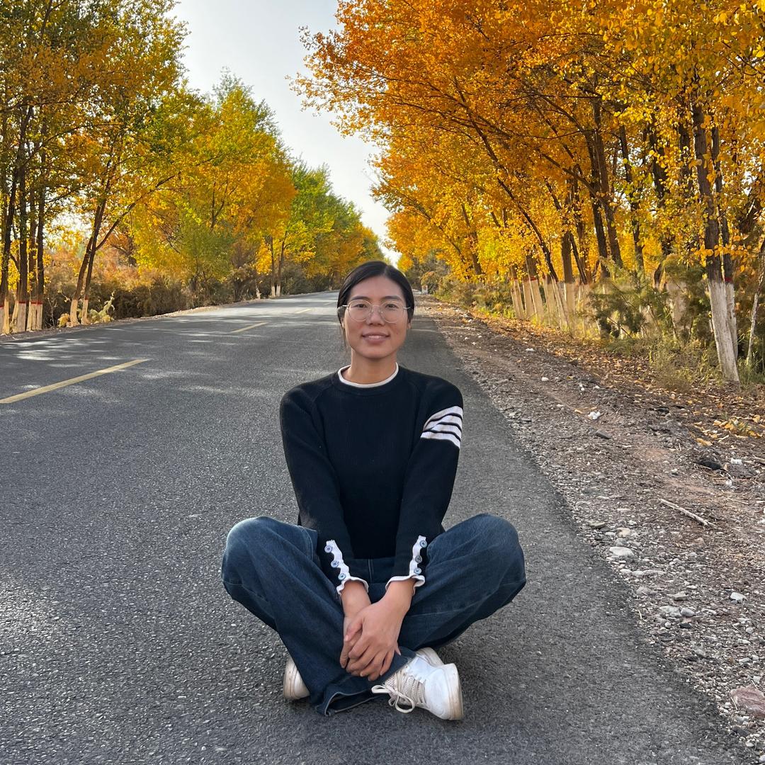 华味新疆干果