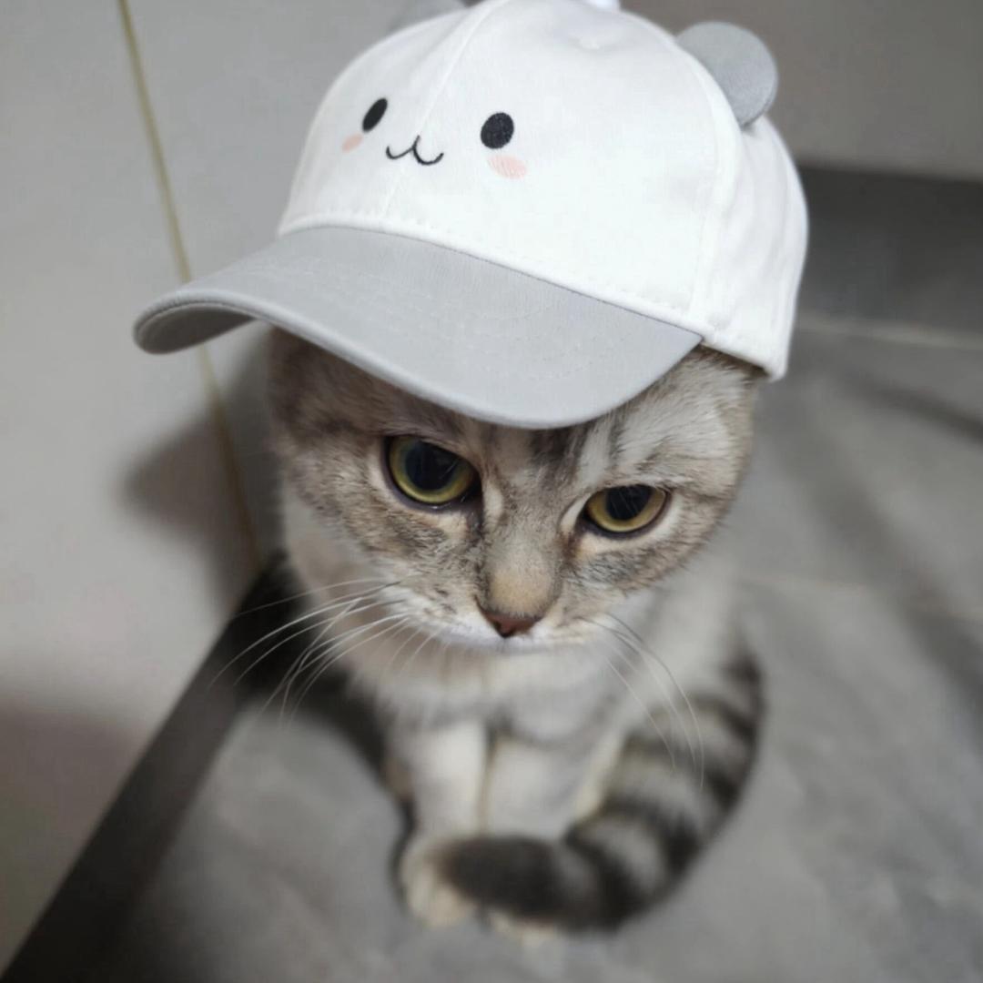 黑乌鸦