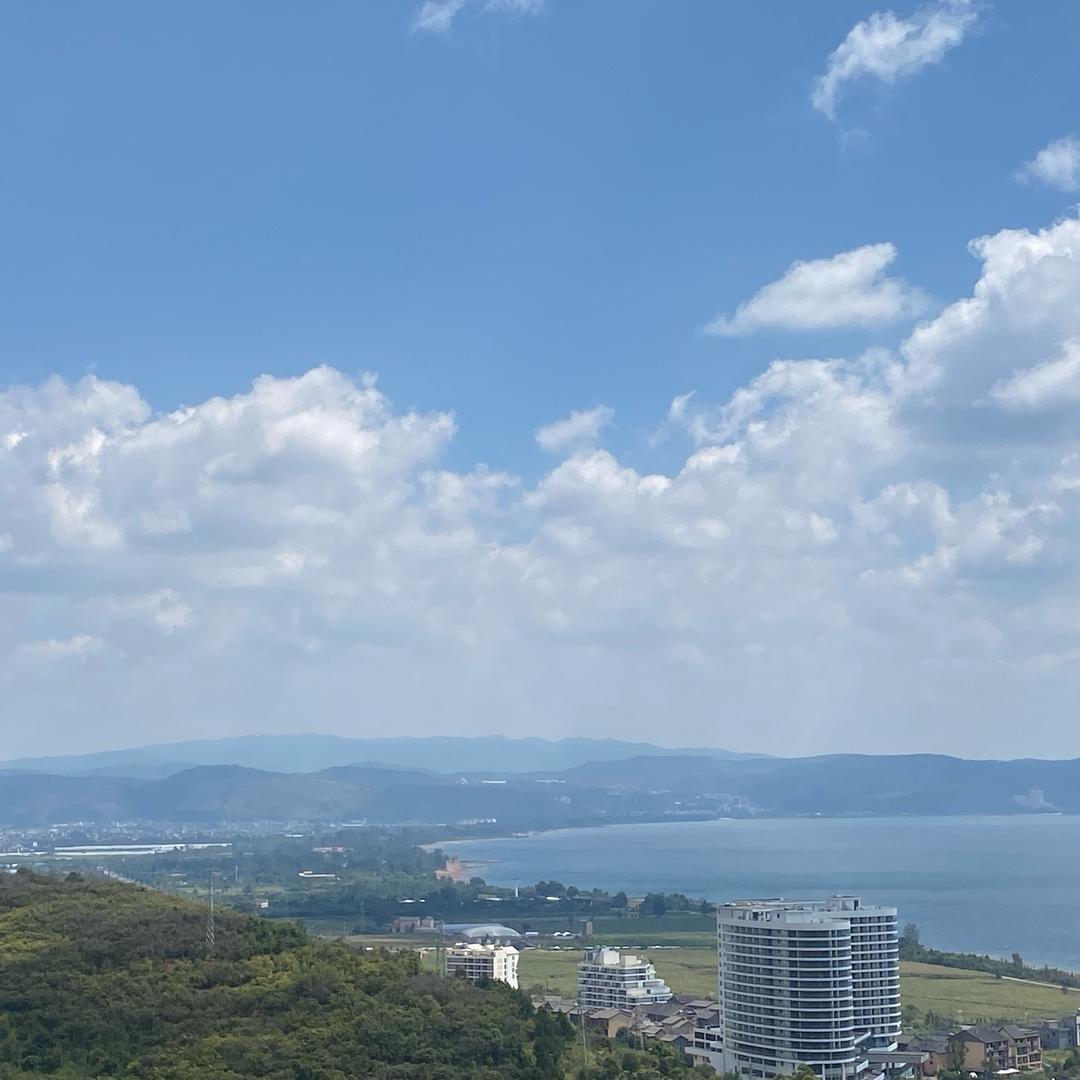 紫潮🍃