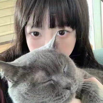 卡士