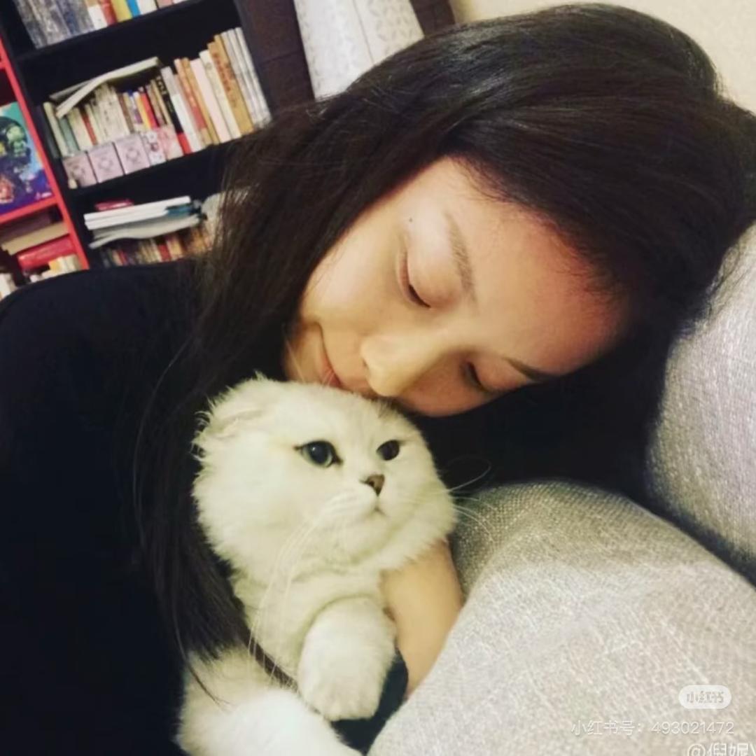 雪饼,