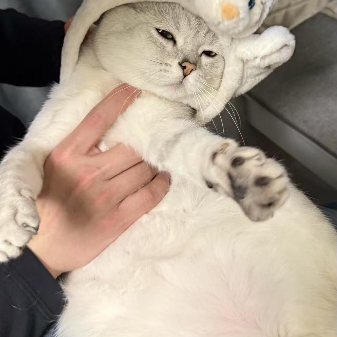 悦雅云仓