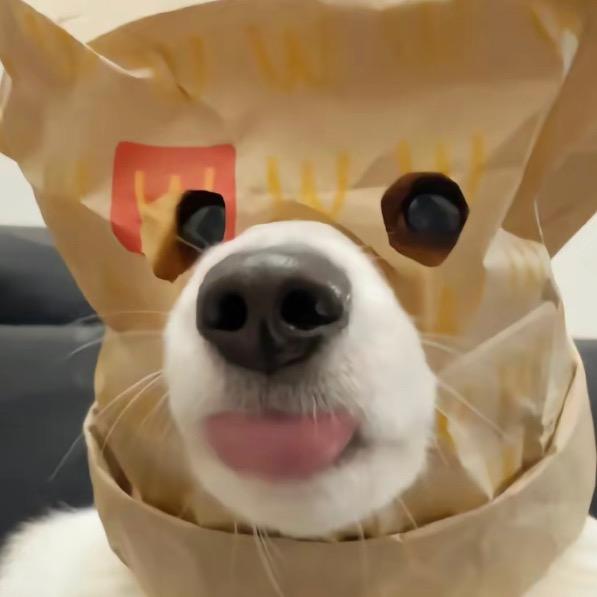 林卿卿