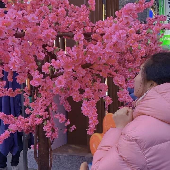 木木林森