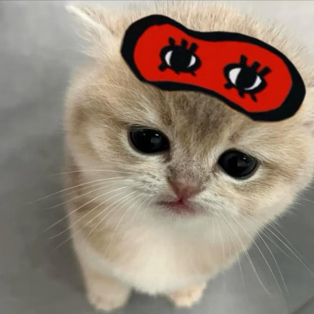 弱水三千