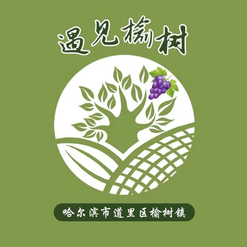 遇见榆树