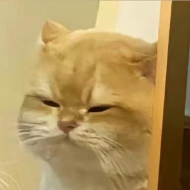 爱吃辣椒油🚶🏻‍♂️