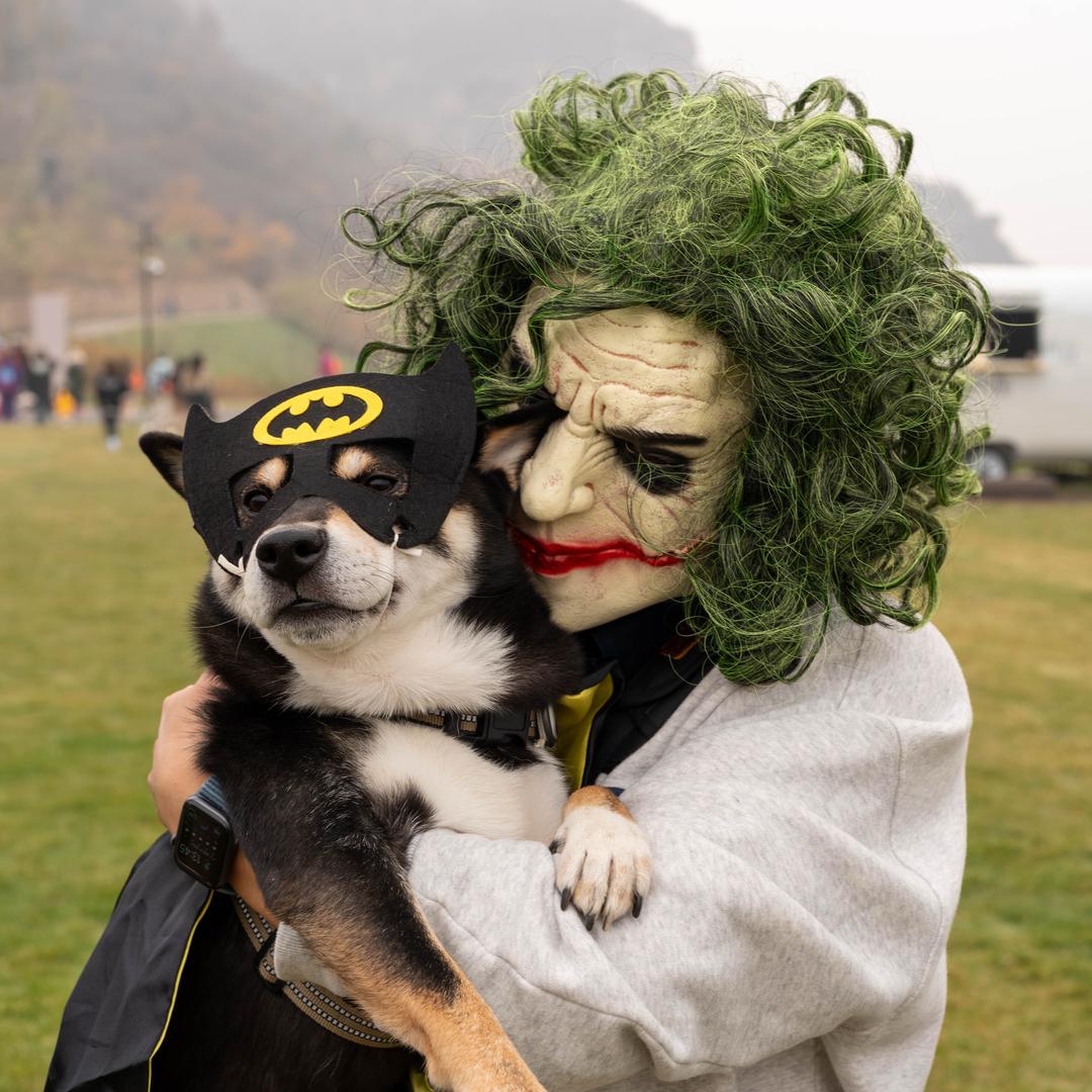 飞爸一家向前冲