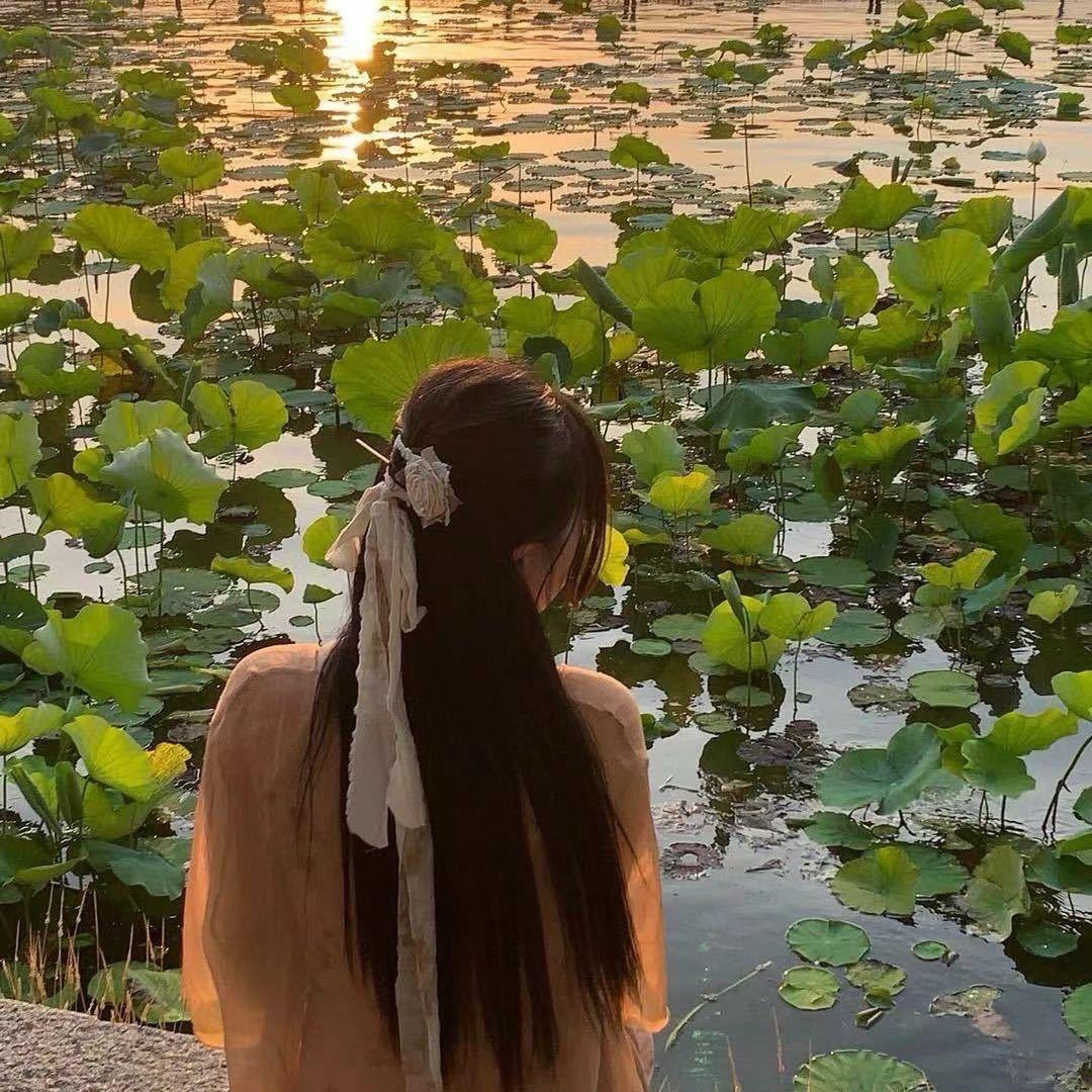 初心(前端流量)