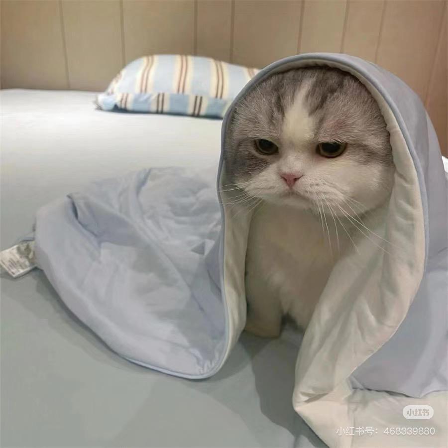 剑歌行—羊了羊