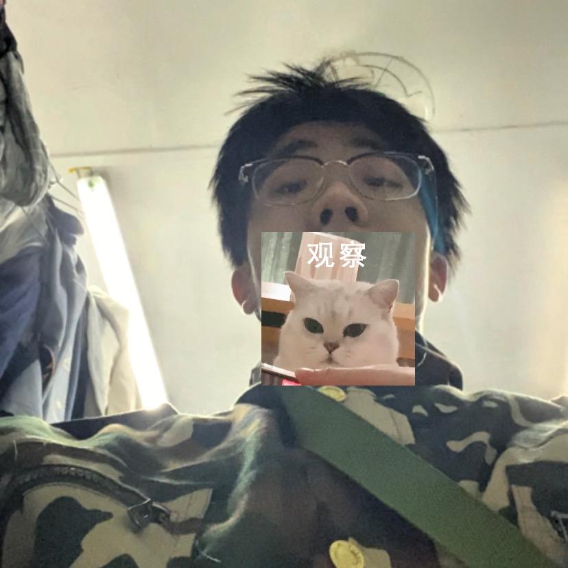 墨镜墨镜