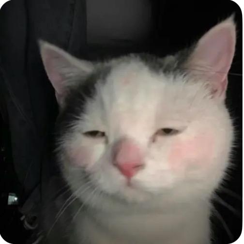 超级无敌大帅逼