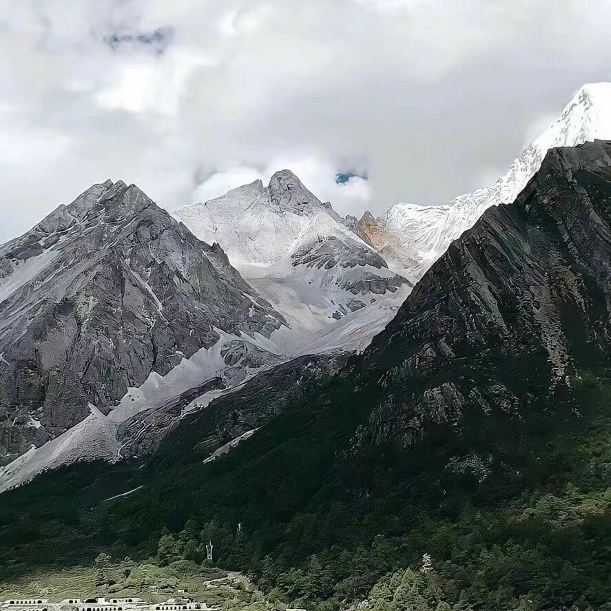 随逾头像