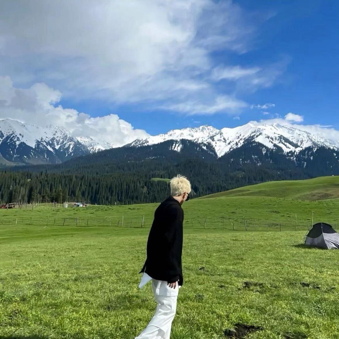 莫札特小李《订台版》