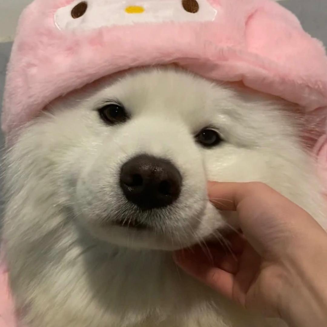 🎈  淡笑续现状