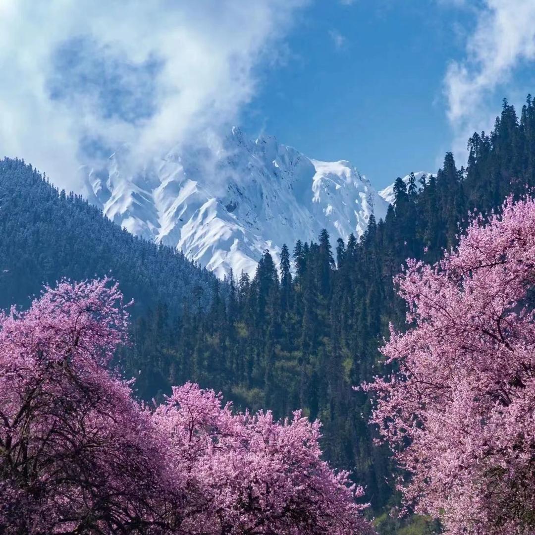 请叫我巴耀叔叔