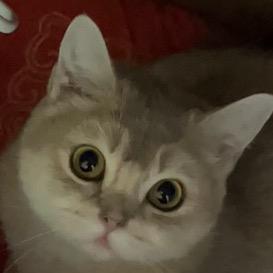 春风不度玉门关