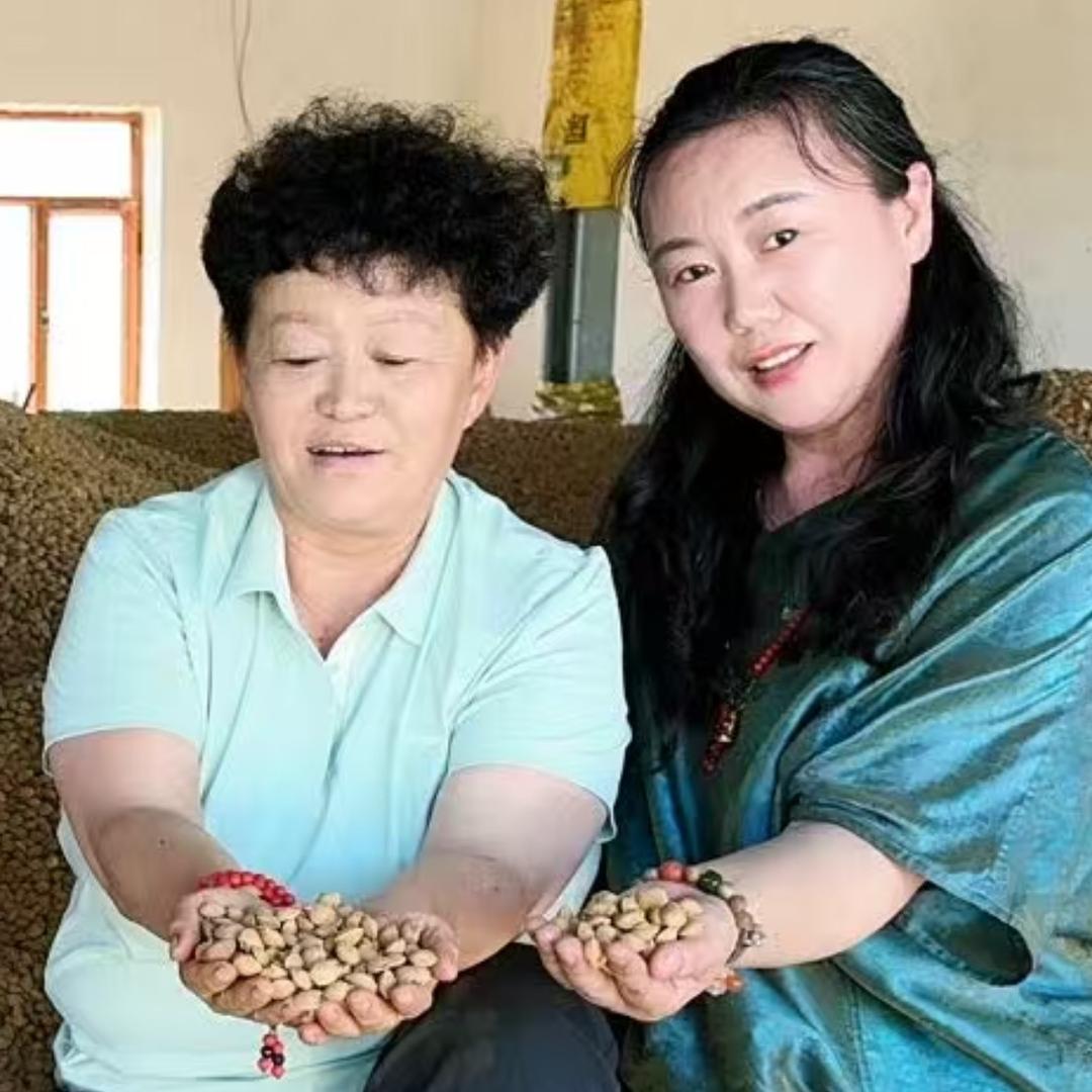 张进 换食养生辟谷