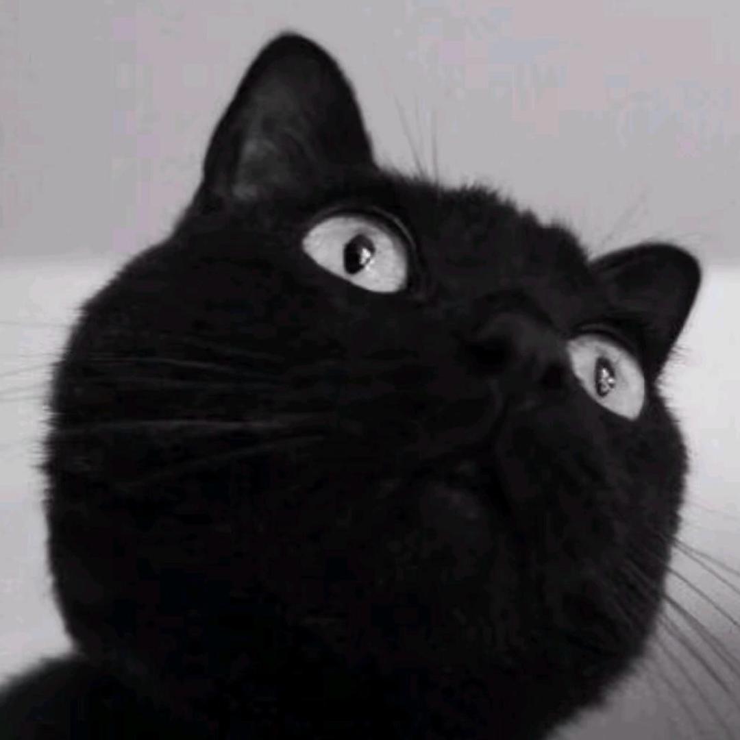 hhhhh昊
