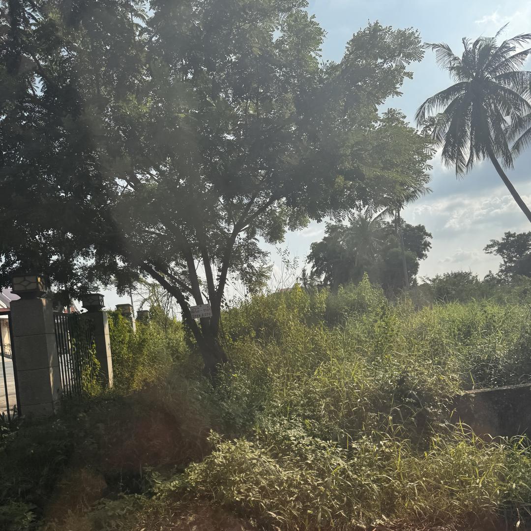 花开幸福-青莲泰贸易