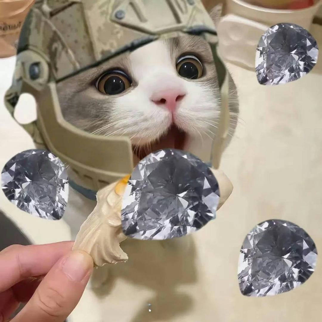 无糖小助理