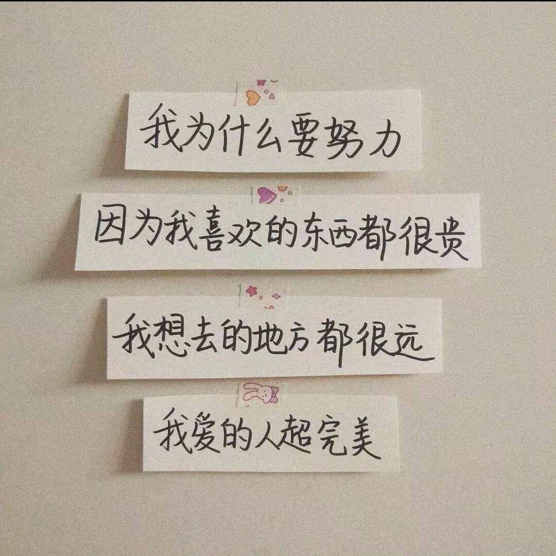 热爱生活，努力工作