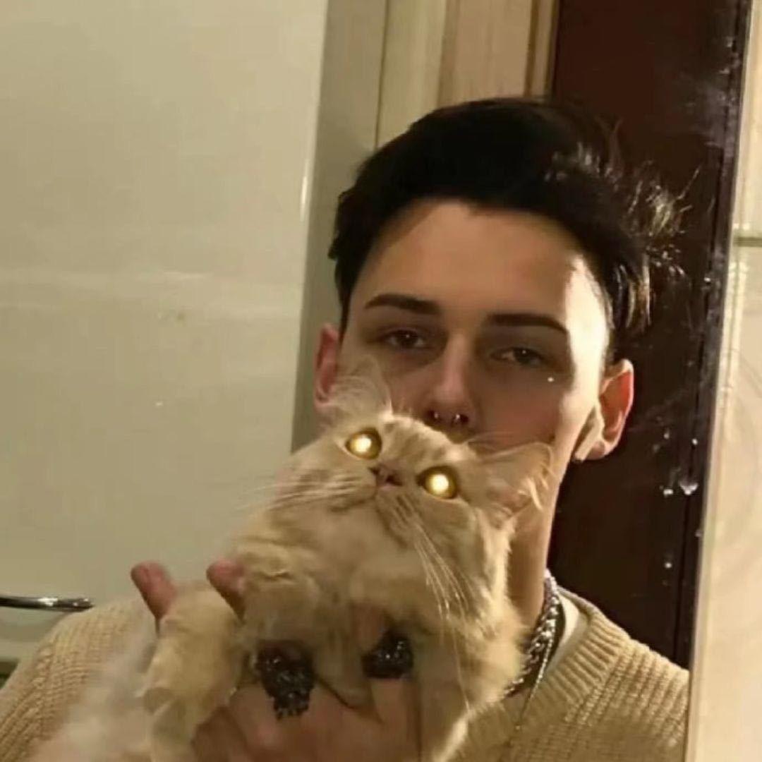 楼顶上的小斑鸠