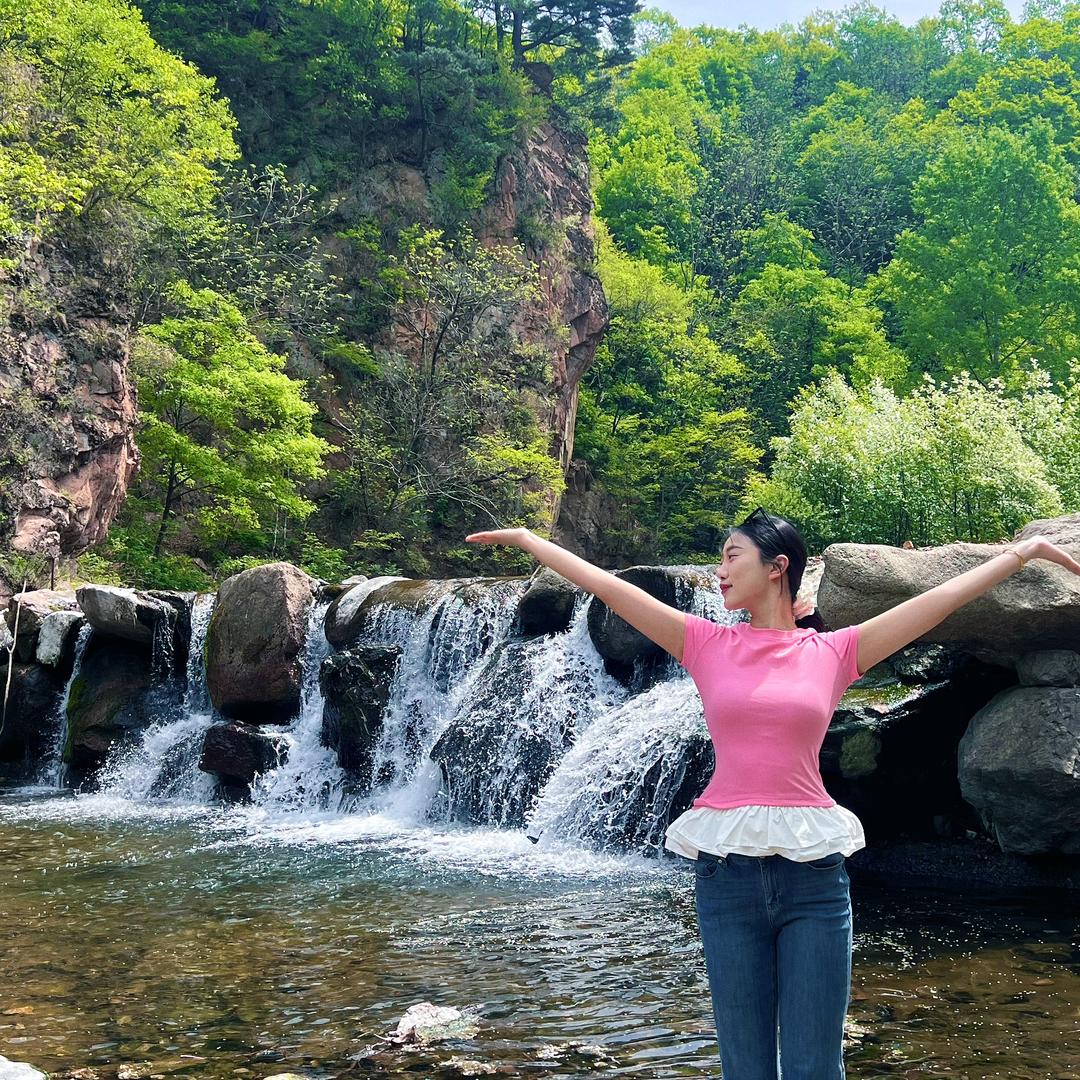 臻果精品水果