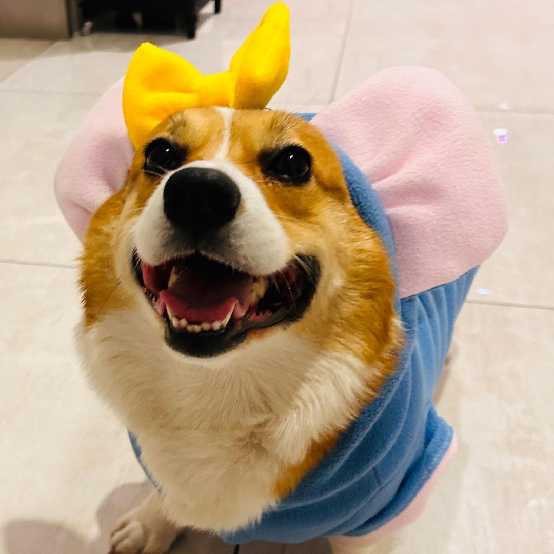 可乐是只妈宝基