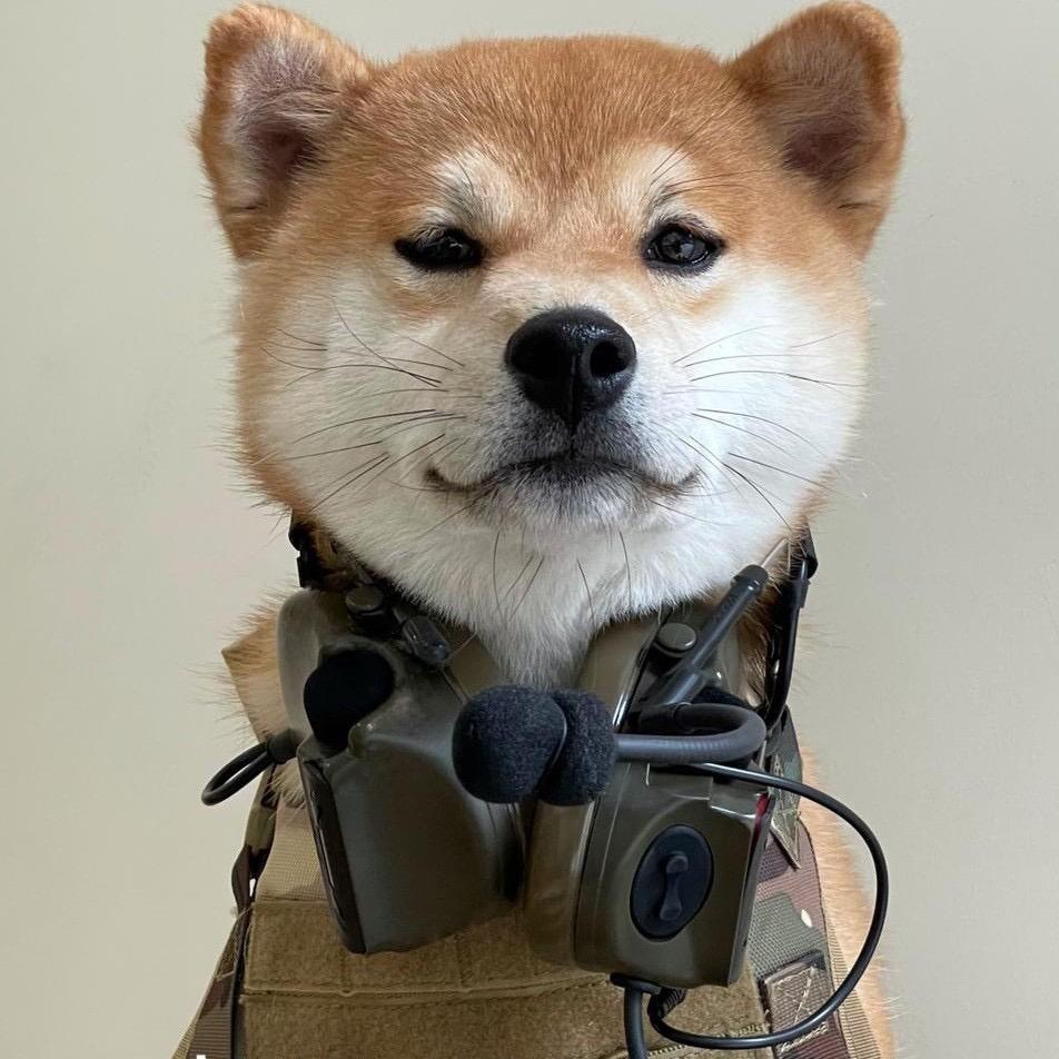 人生何处不青山。