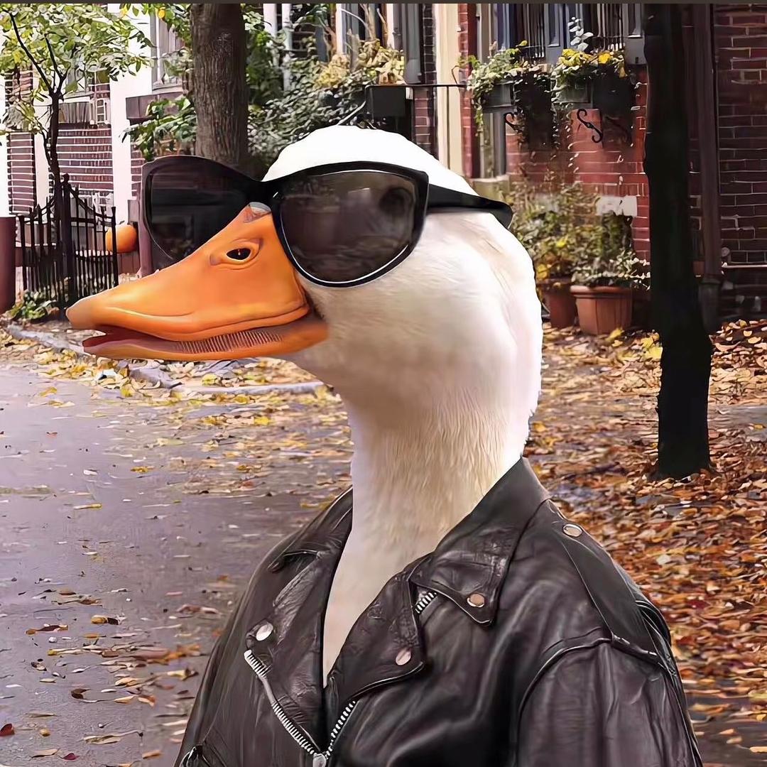 精挑细选宝藏屋