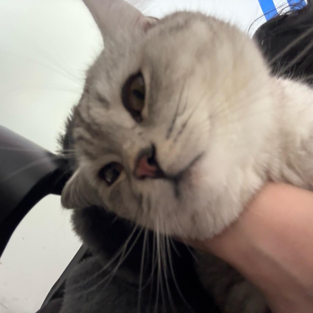 小板凳嗑瓜子doki