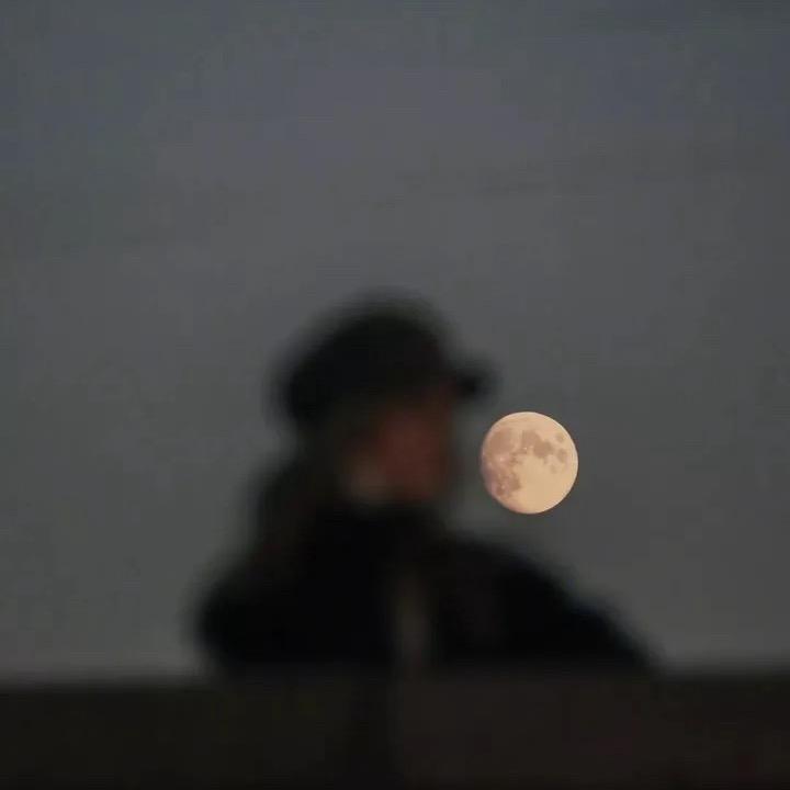 二狗·音乐